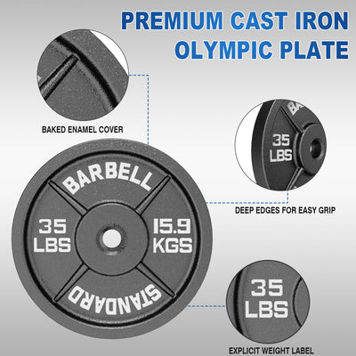 2 Inch Cast Iron Weight Plates Package 150lbs（2*5lbs+2*10lbs+2*25lbs+2*35lbs）