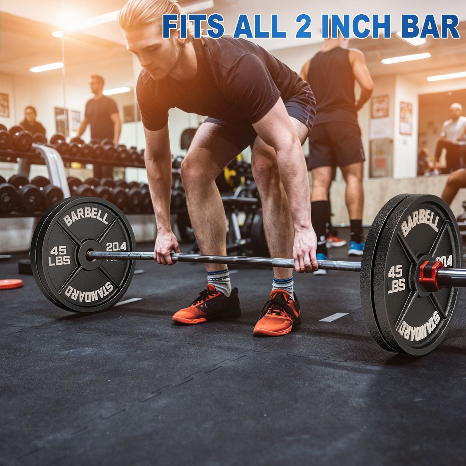 2 Inch Cast Iron Weight Plates Package 150lbs（2*5lbs+2*10lbs+2*25lbs+2*35lbs）